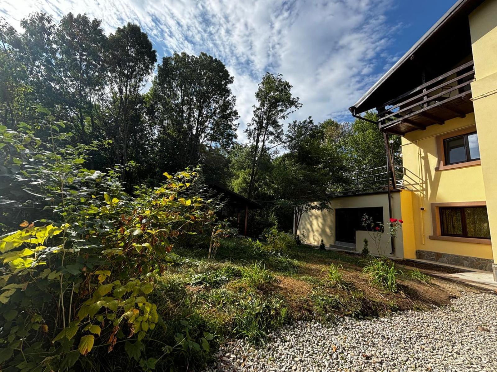 Casa Cu Padure Casa vacanze Breaza (Prahova)